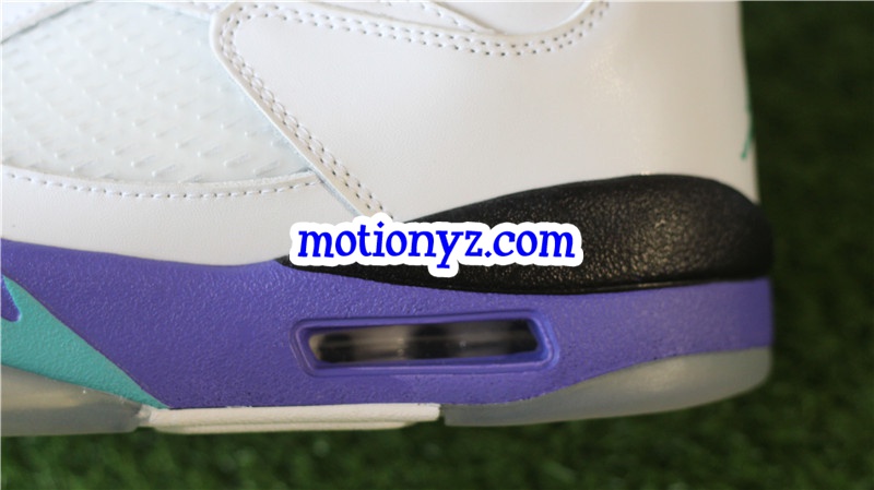 Authentic Air Jordan 5 Retro Grapes